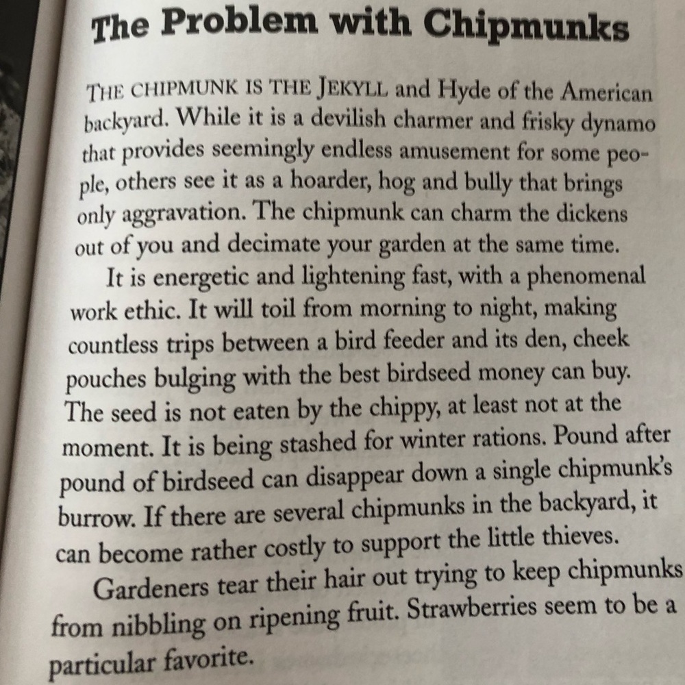 “Squirrel Wars: backyard wildlife battles and how to win them” illustrated book - Picture 6 of 12